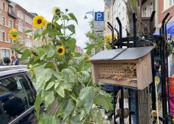 Damenviertelfest 2021 In Jena 000016